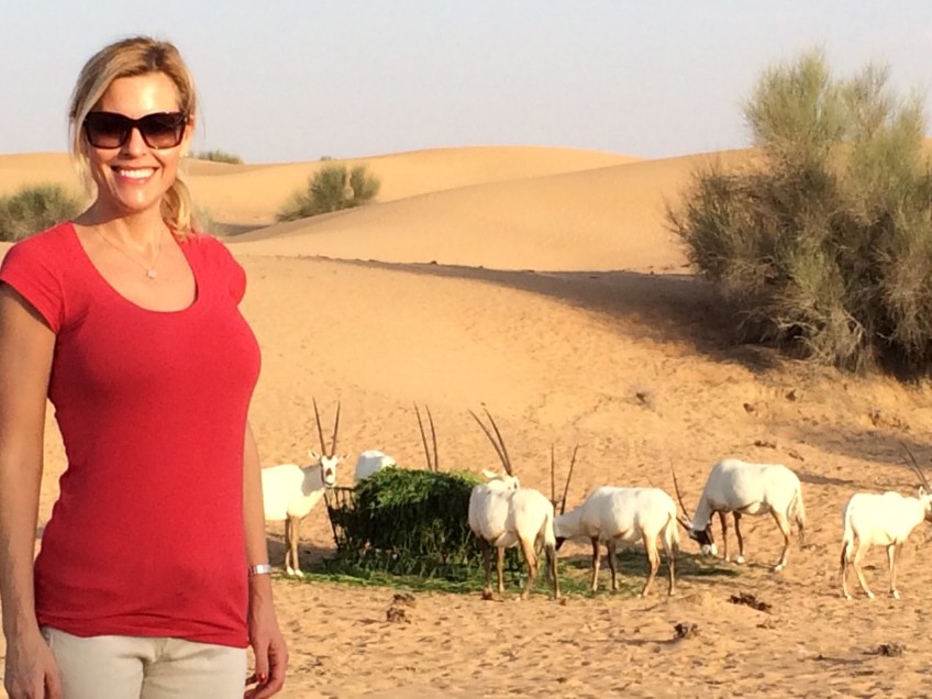 Discover the wild Oryx