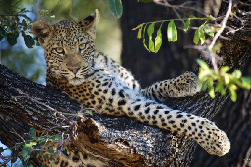 Botswana  Southern Africa